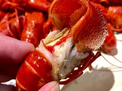 -靓靓蒸虾·头牌蒸虾(南山桂庙店)
