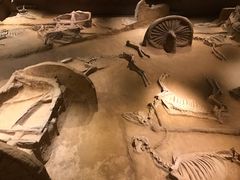 -洛阳周王城天子驾六博物馆