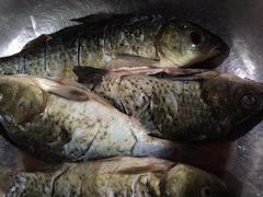 -重百超市(解放碑新华店)