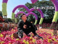-松山湖南湖湾露营营地