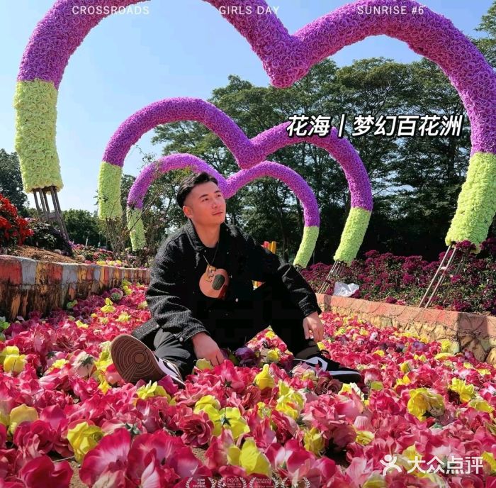 松山湖南湖湾露营营地图片