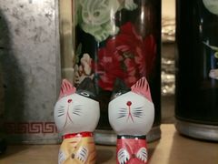 -猫咪博物馆(顶澳仔猫街店)