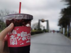-南澳岛打卡果汁冰公司