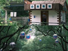 -上海共青森林公园