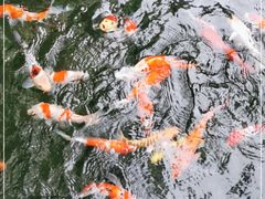 -云溪植物园