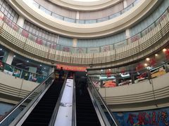 -金龙渔港(双楠店)