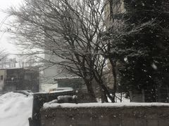 -北海道厅旧本厅舍(旧本庁舎)