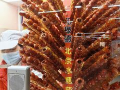 -和禄德冰糖葫芦(东四朝内菜市场店)