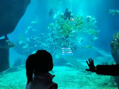 -福州罗源湾海洋世界旅游区