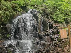 -本溪汤沟绿石谷森林公园