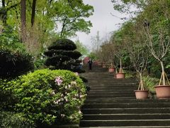 -南山植物园