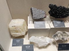 -安徽省地质博物馆