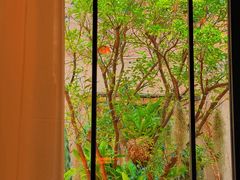-Osteria Garden 生蚝花园餐厅(原进贤路店)