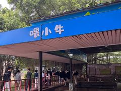 -光明农场大观园