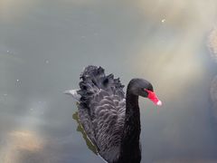 -青峰峡国家森林公园