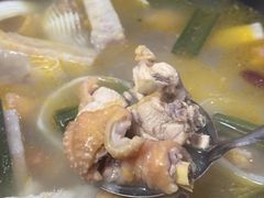 -15年老字号鑫鑫猪肚鸡·椰子鸡海南火锅(兴隆华侨农场店)