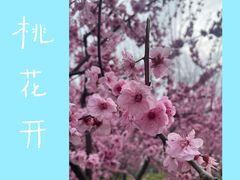 -堤角公园