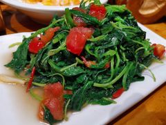 番茄炒小米菜-老滇山寨•云南特色菜•地方菜•民族风情歌舞表演(金碧店)