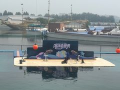 -秦皇岛乐岛海洋王国