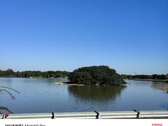 -海珠湖公园