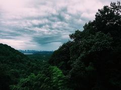 -韬光茶庵