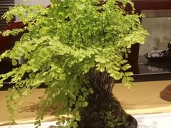 -南堂館川菜文化餐厅(天府店)