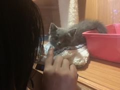 -Pets First伊珊娜洗护·精致美容·家庭式寄养(新会路店)
