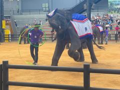 -东芭乐园