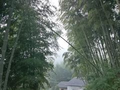 -浙北大峡谷