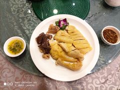 阳山走地鸡-六婶西关小厨(光塔路店)