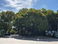 -天目湖山水园