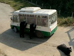-贵州森林野生动物园