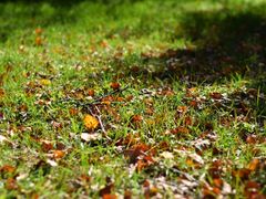 -长春公园(普阳街道)