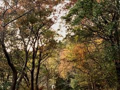 -紫金山索道-售票处