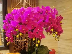 -上海小南国(国发店)