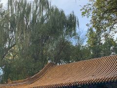 -鼓楼(兴庆区)