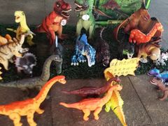 -陕西自然博物馆