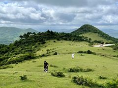 -大姆山草场