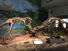 -自贡恐龙博物馆