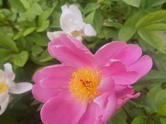 -大唐不夜城-开元广场