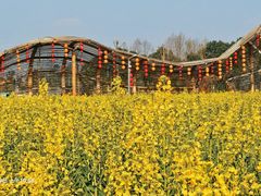 -中国天府农业博览园