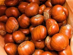 -二斗栗子(黄河道店)