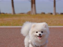 -苏州吴中太湖旅游区