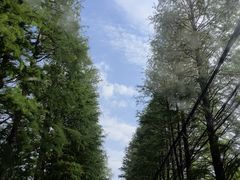 -常州奔牛国际机场