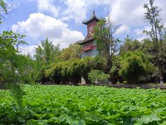 -四川大学(华西校区)