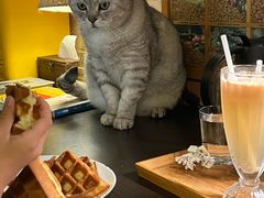 -隅cafe(傅厚岗店)