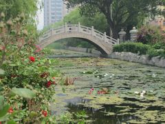 -丁家河公园