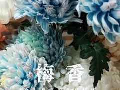 -双季花艺园艺市场(浦东店)