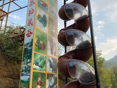 -欢乐松鼠谷