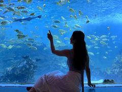 -海合安成都极地海洋公园